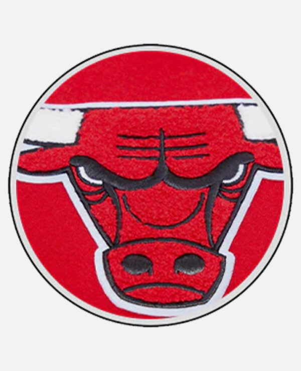 NBA Chicago Bulls  Men's Red Varsity Jacket - Image 6