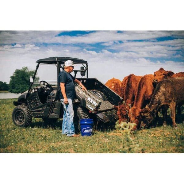 Oasizs Axis 500 4×4 UTV - Image 3