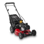 Toro-21-in.-53-cm-Recycler®-Lawn-Mower-21321.jpg