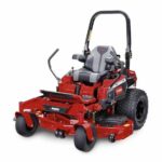 toro-1.jpg