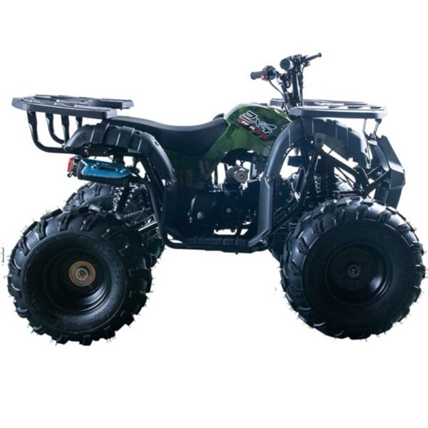 Vitacci Rider 10 Utility ATV - Image 2